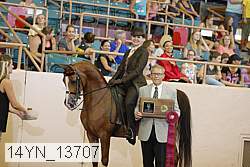14yn_13707 proof