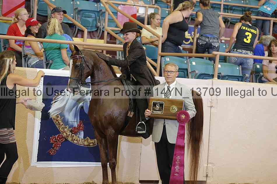 Proof 14yn_13709