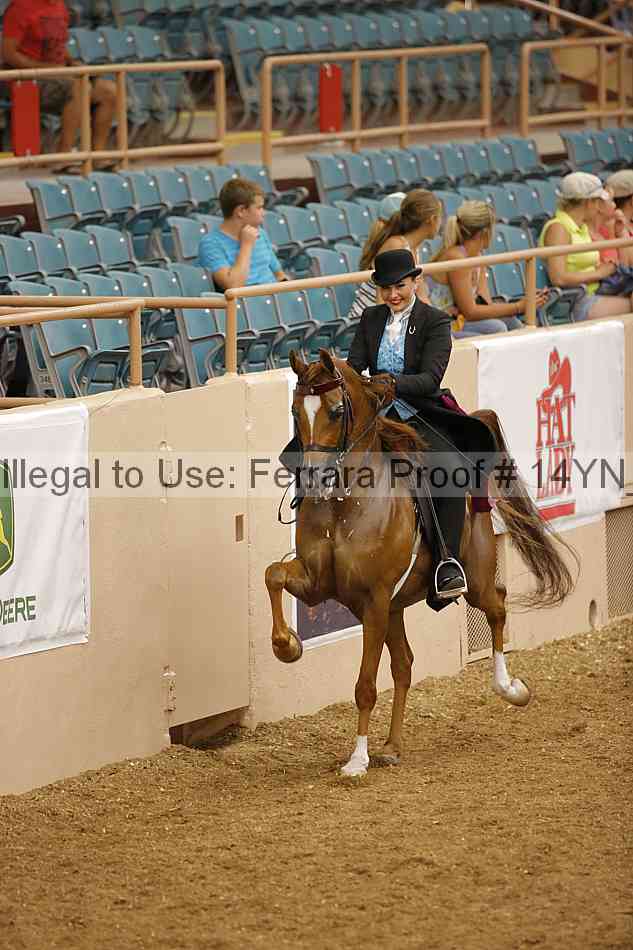 Proof 14yn_13787