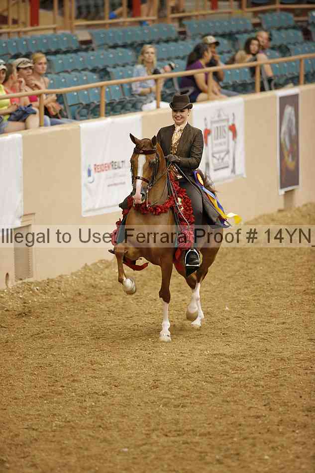 Proof 14yn_13795