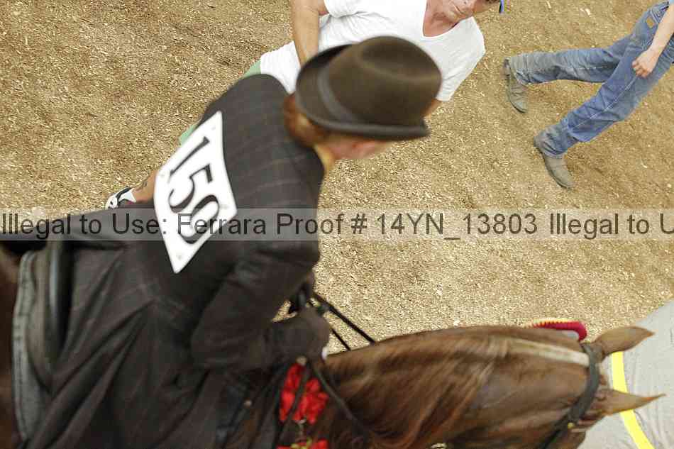 Proof 14yn_13803