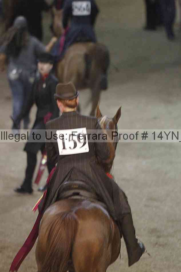 Proof 14yn_13806