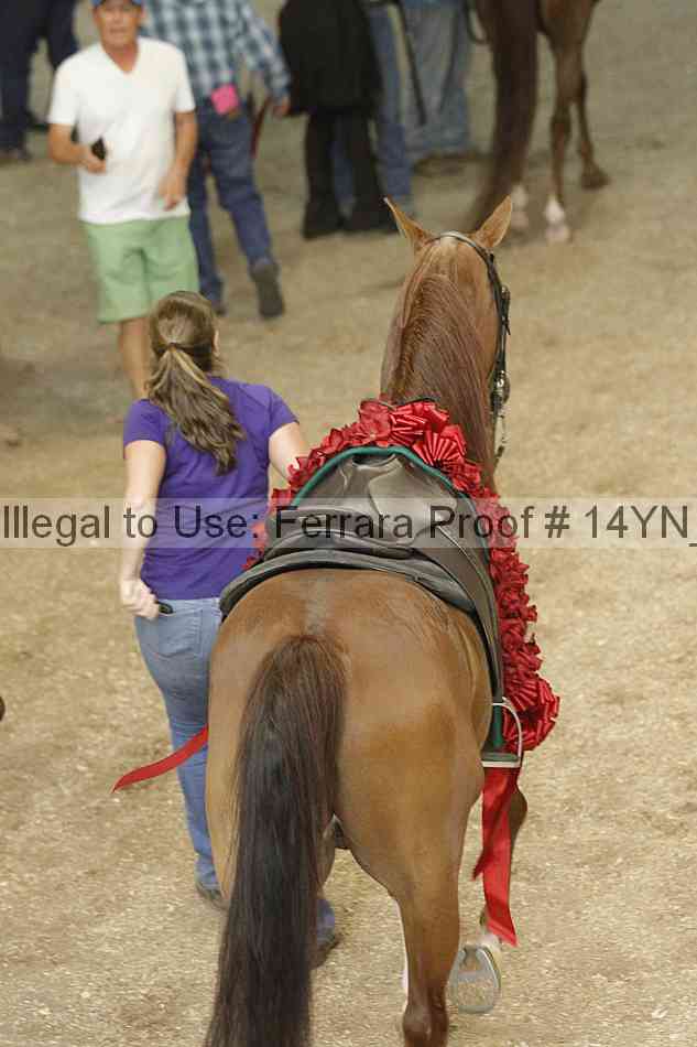 Proof 14yn_13809