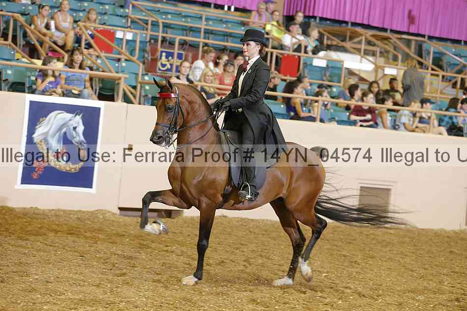 Proof 14yn_04574