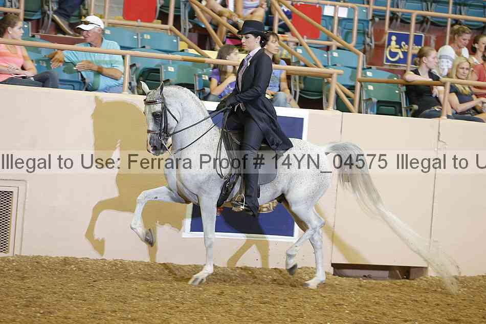 Proof 14yn_04575