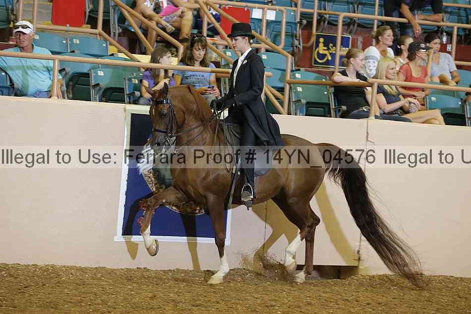 Proof 14yn_04576