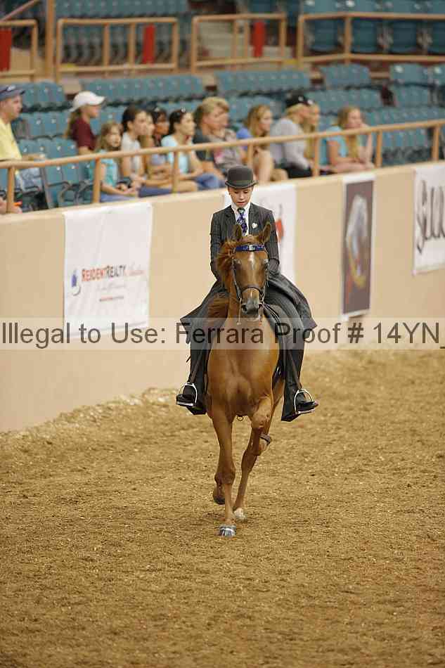 Proof 14yn_04577