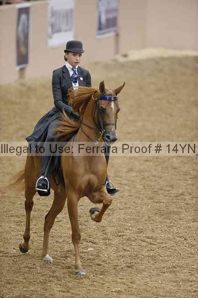 Proof 14yn_04578