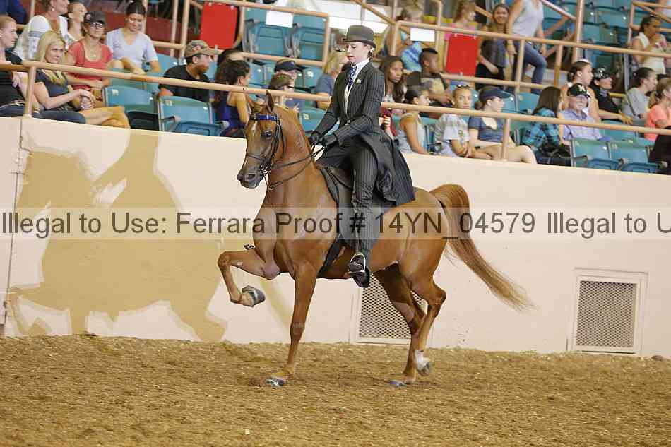 Proof 14yn_04579