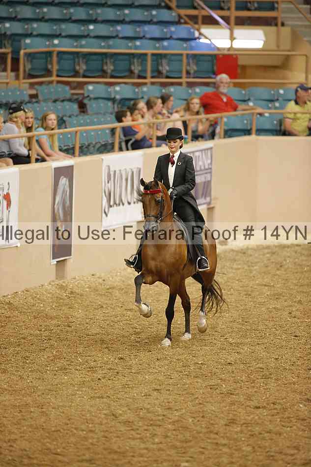 Proof 14yn_04581