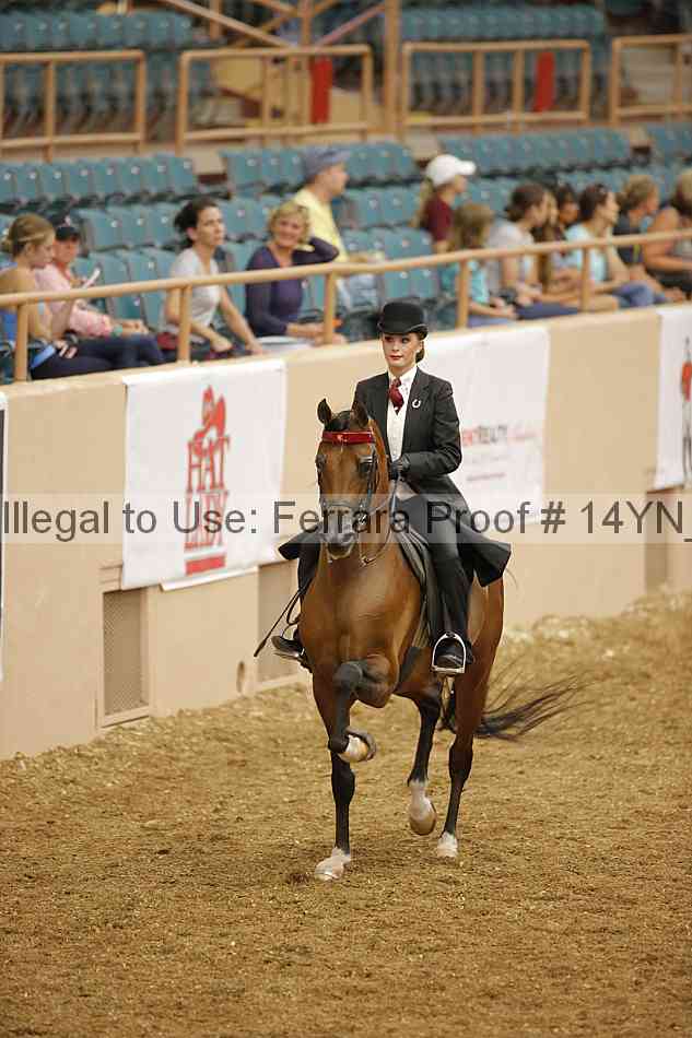 Proof 14yn_04583