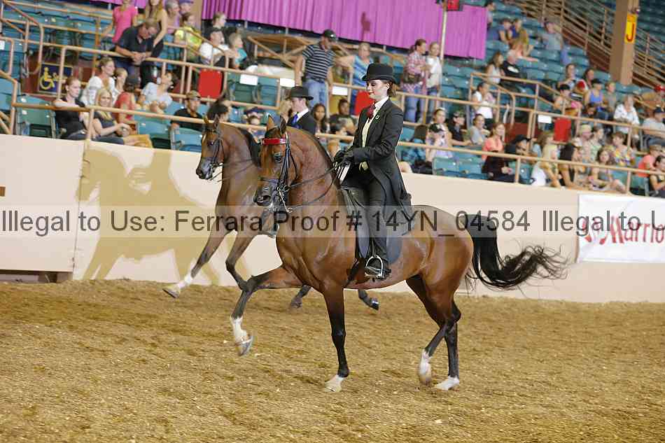 Proof 14yn_04584