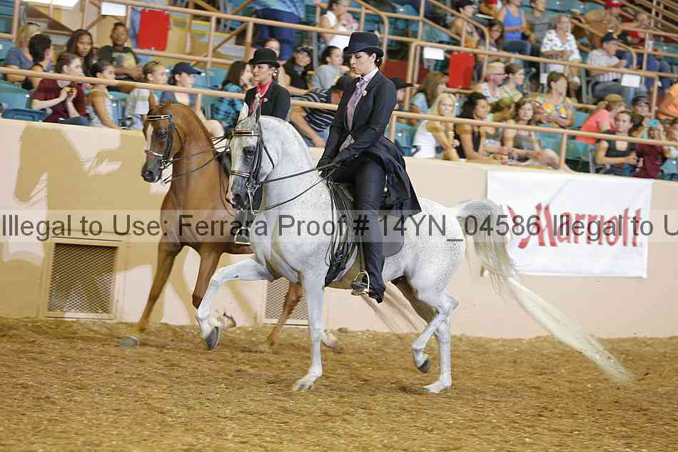 Proof 14yn_04586