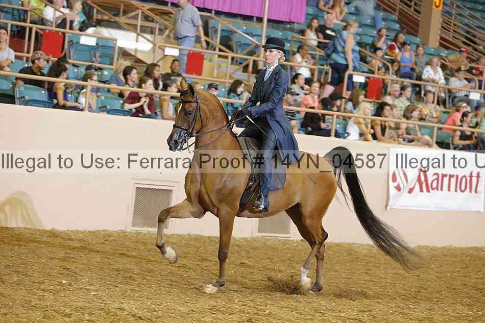 Proof 14yn_04587