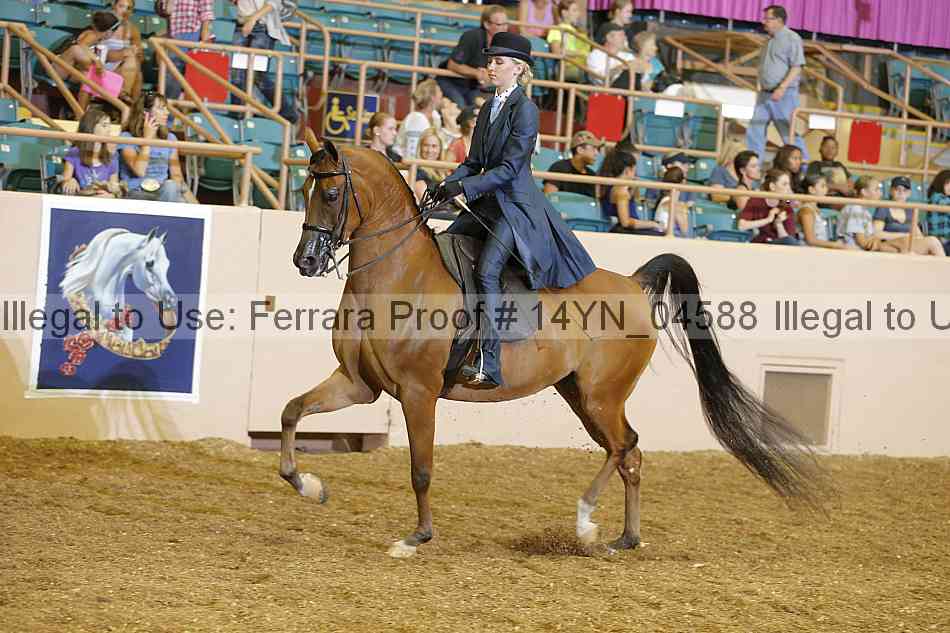 Proof 14yn_04588