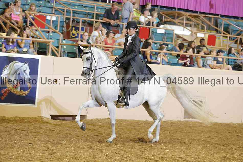 Proof 14yn_04589