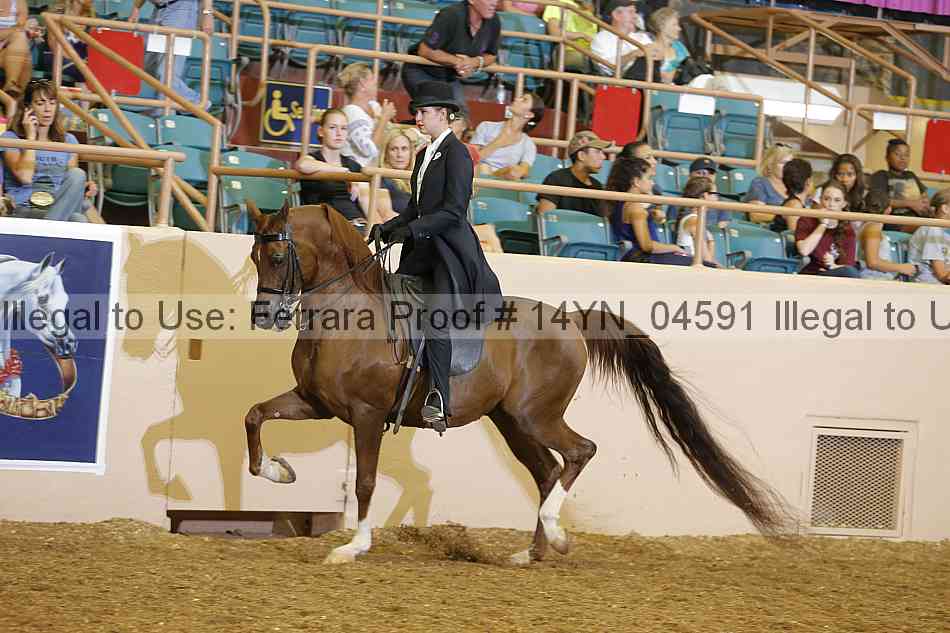 Proof 14yn_04591