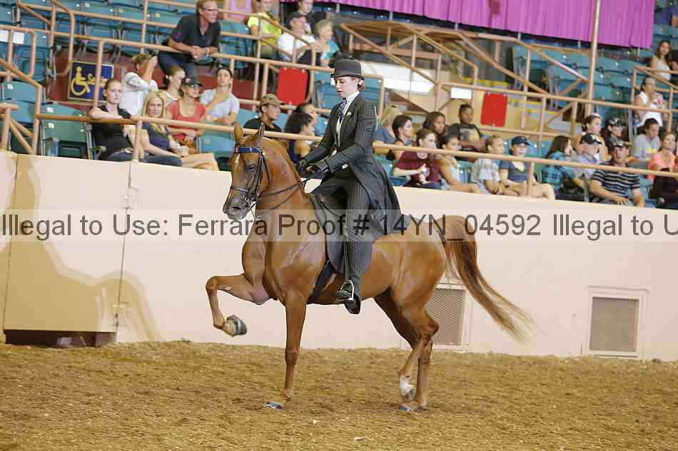 Proof 14yn_04592