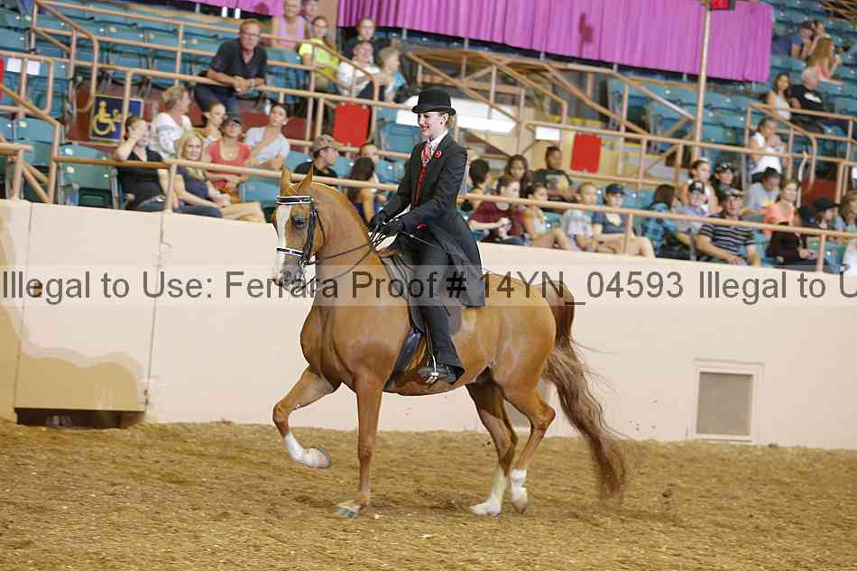Proof 14yn_04593