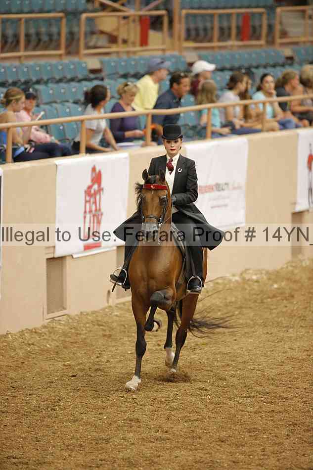 Proof 14yn_04594