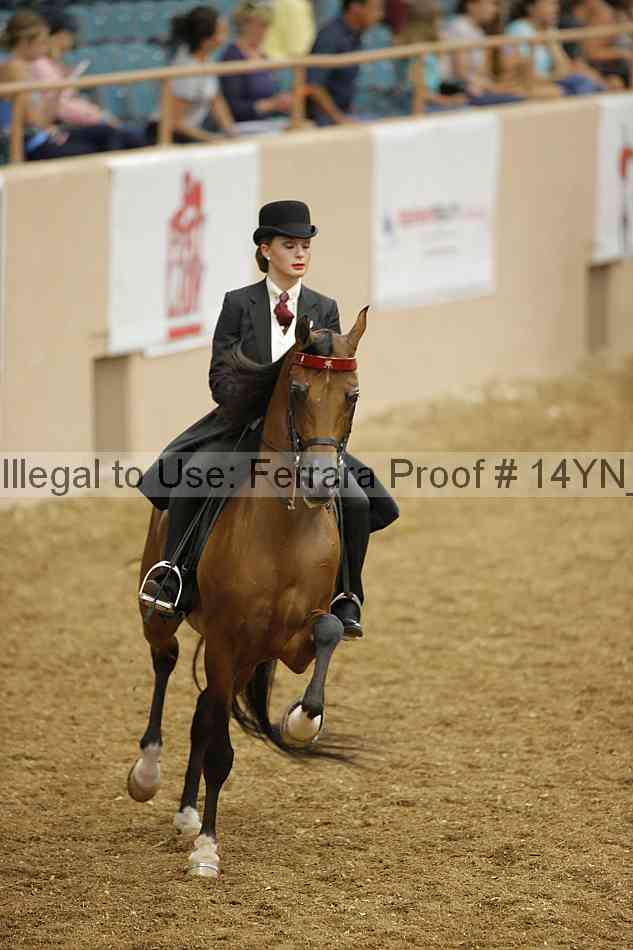 Proof 14yn_04595