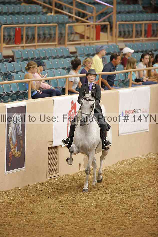 Proof 14yn_04596
