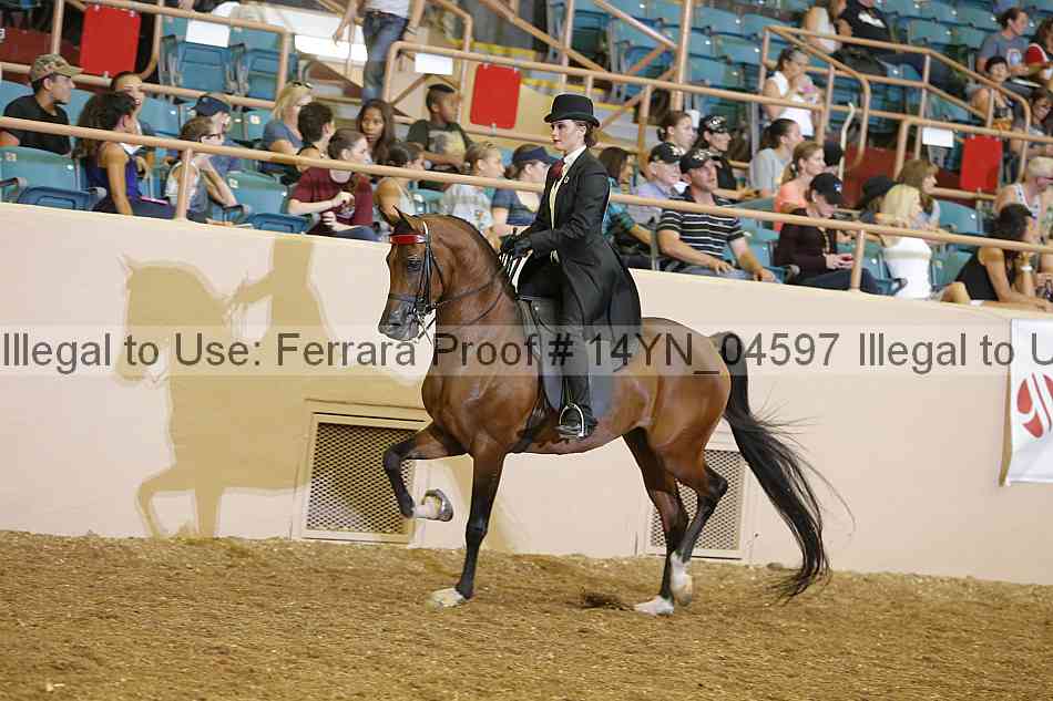 Proof 14yn_04597