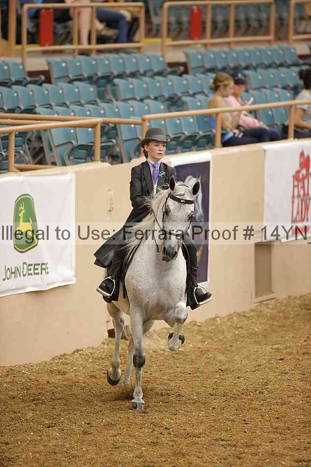 Proof 14yn_04598