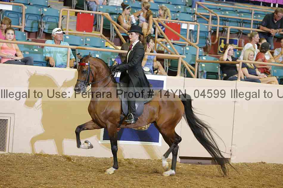 Proof 14yn_04599