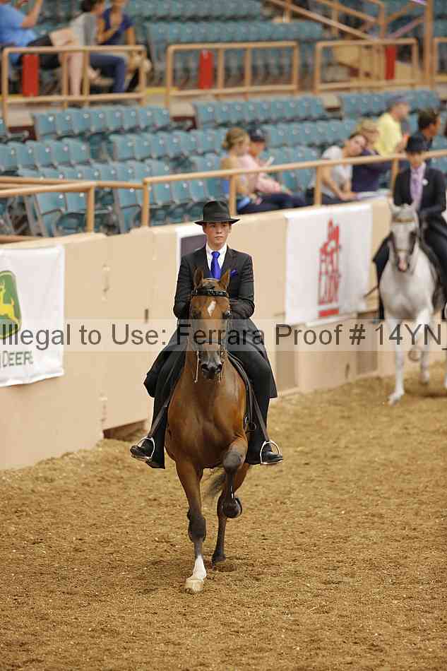 Proof 14yn_04601