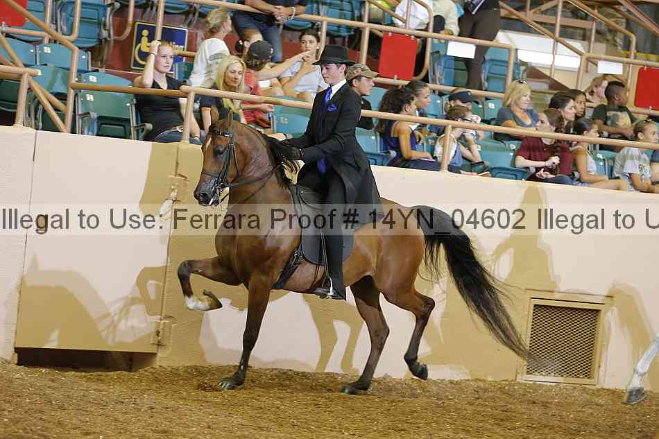 Proof 14yn_04602