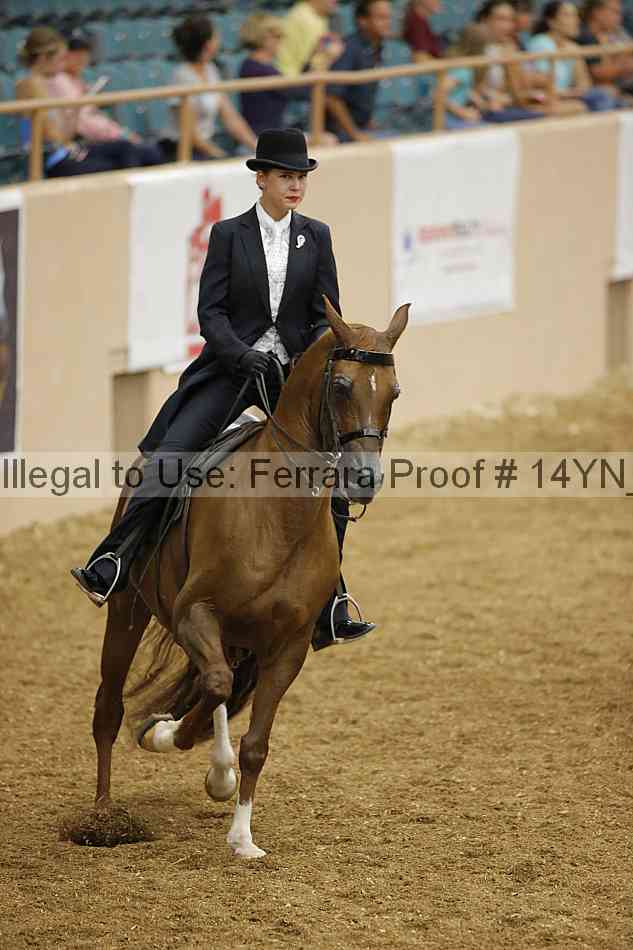 Proof 14yn_04603