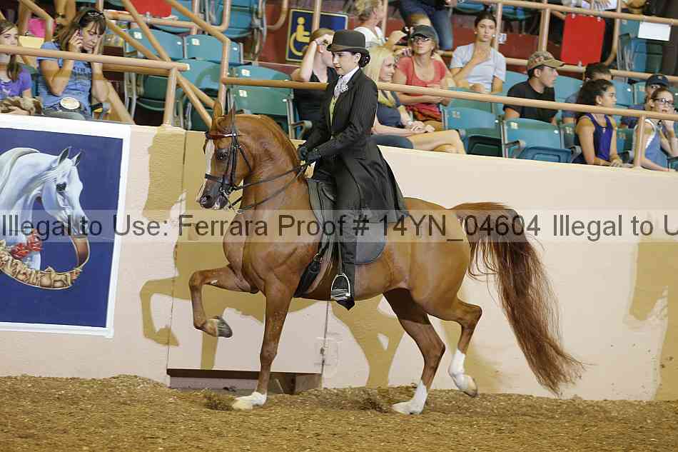 Proof 14yn_04604