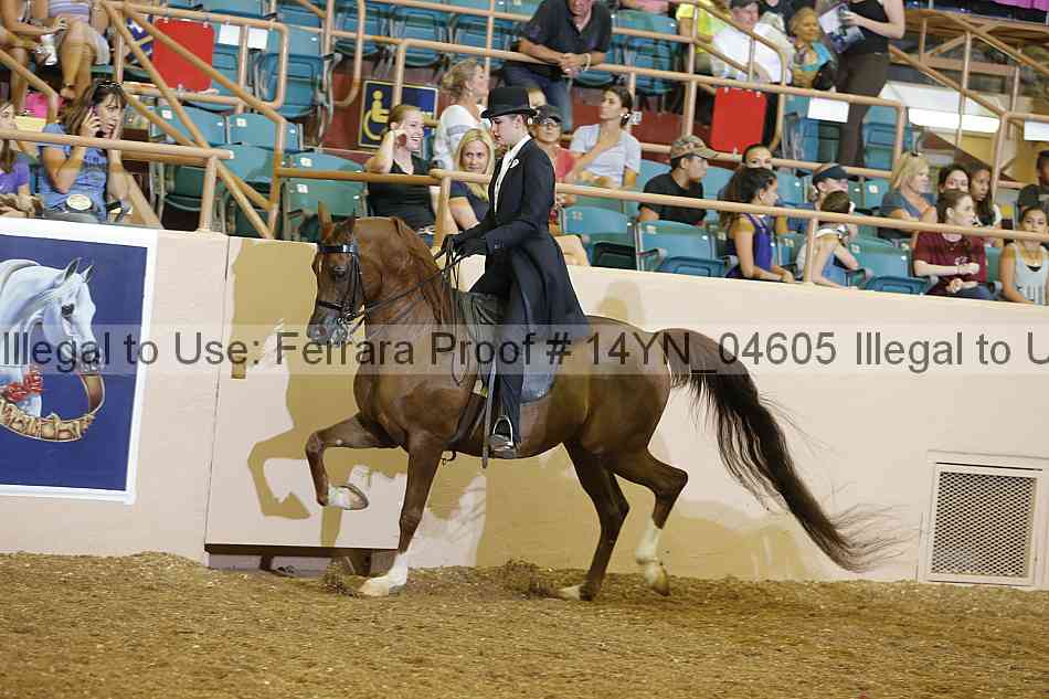 Proof 14yn_04605