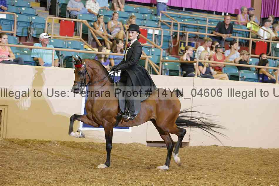 Proof 14yn_04606