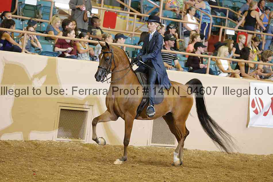 Proof 14yn_04607