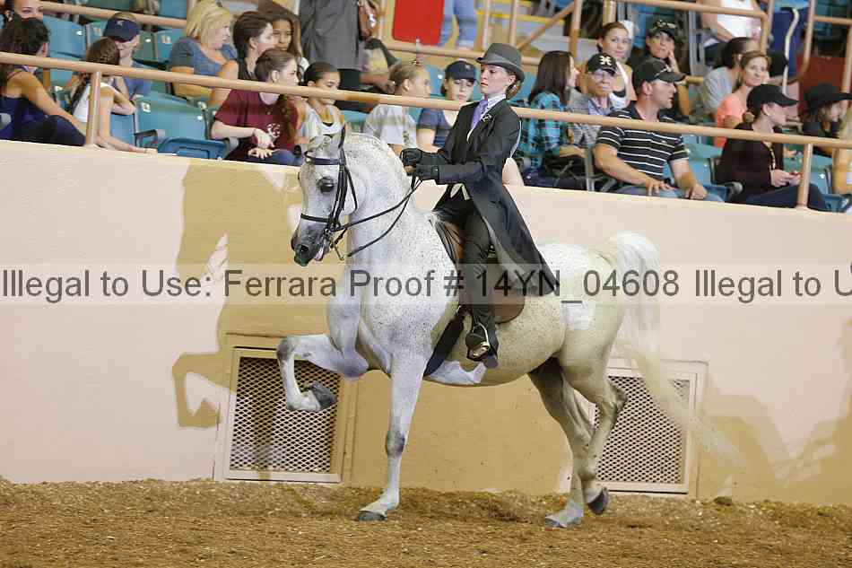 Proof 14yn_04608