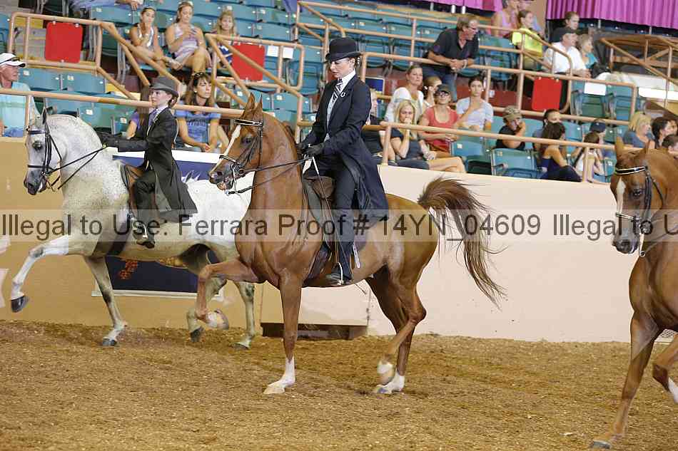 Proof 14yn_04609