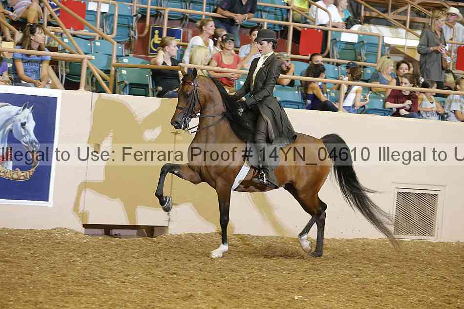 Proof 14yn_04610