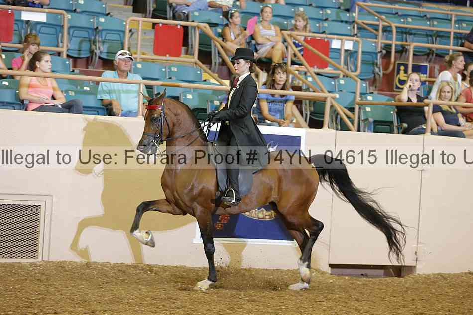 Proof 14yn_04615