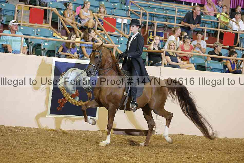 Proof 14yn_04616
