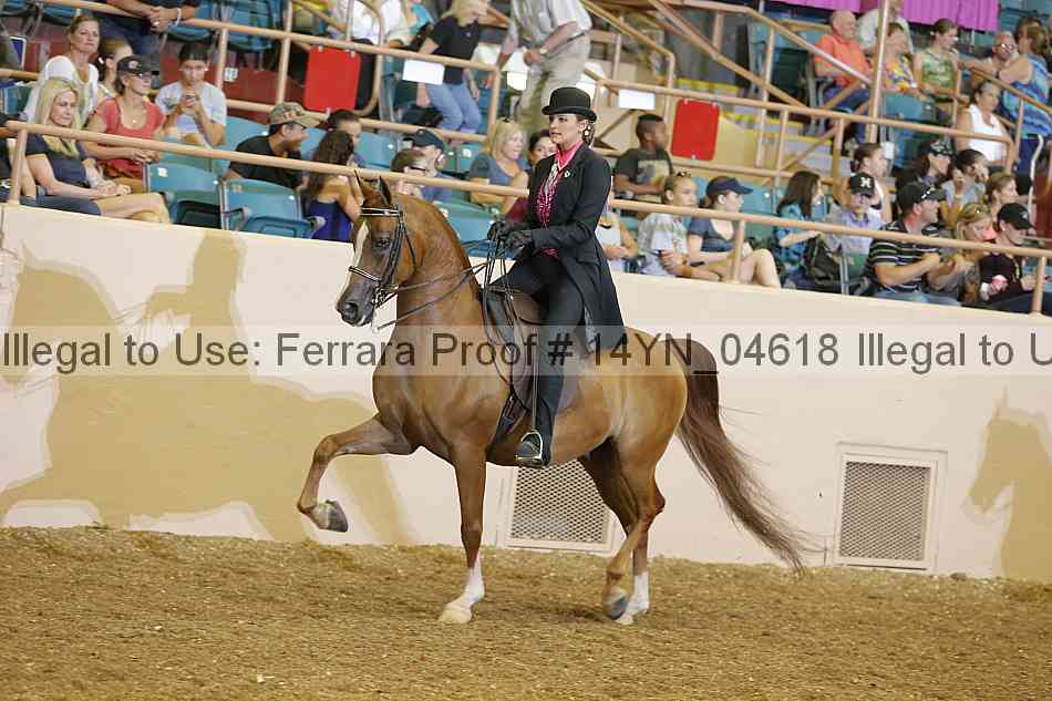 Proof 14yn_04618