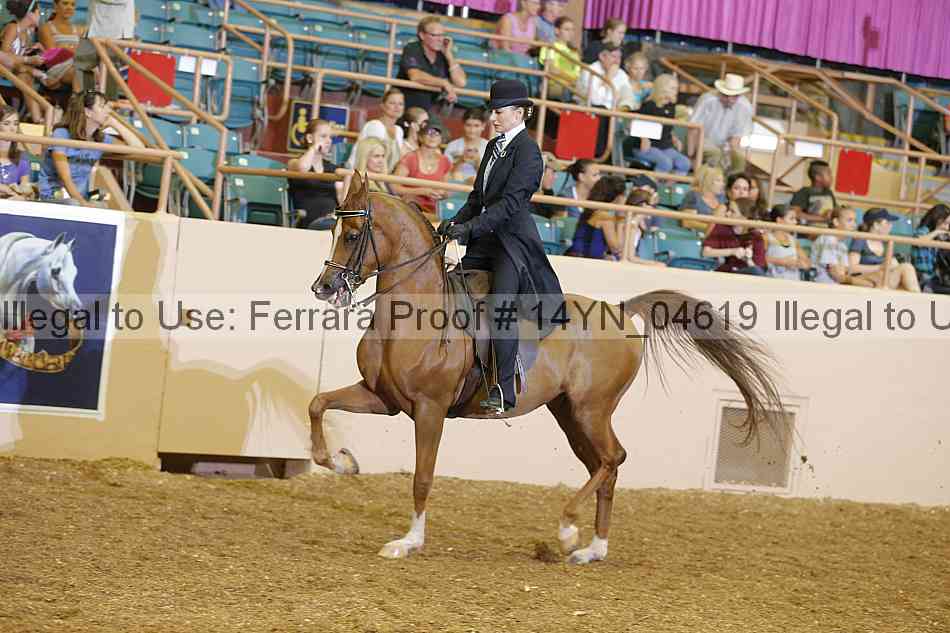 Proof 14yn_04619