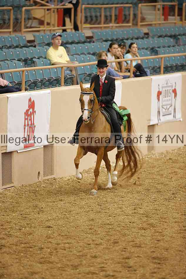 Proof 14yn_04626