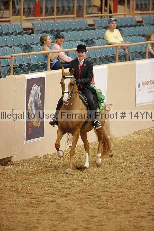 Proof 14yn_04628