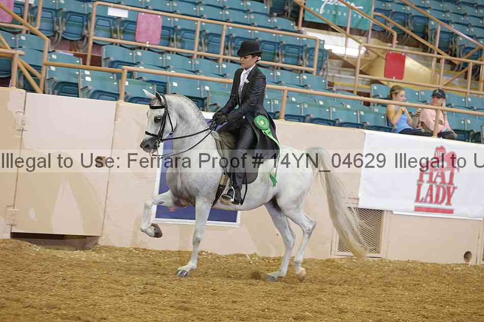 Proof 14yn_04629