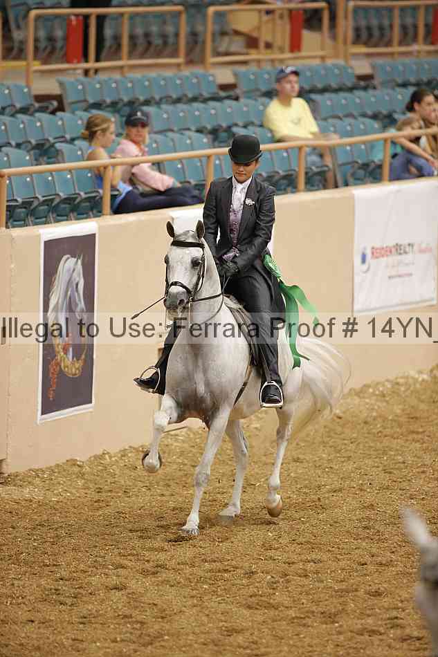 Proof 14yn_04632