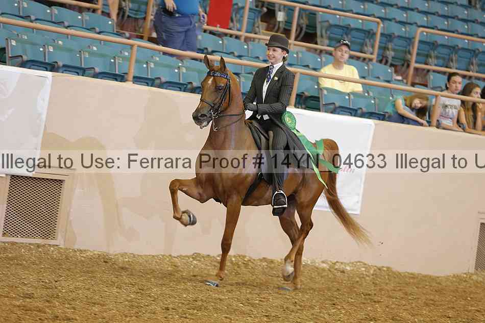 Proof 14yn_04633