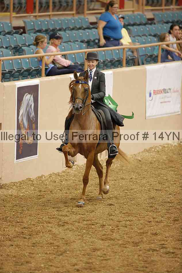 Proof 14yn_04636
