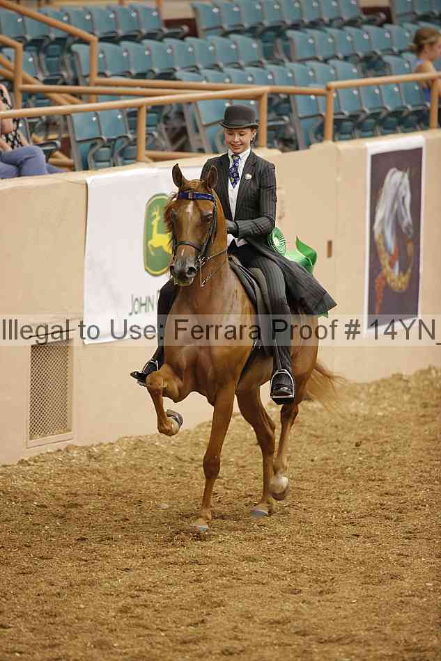 Proof 14yn_04637